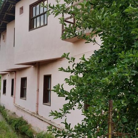 Elmas Pansiyon Karacasu  Bagian luar foto