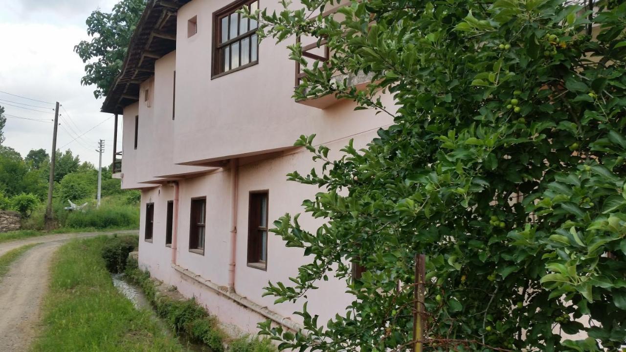 Elmas Pansiyon Karacasu  Bagian luar foto